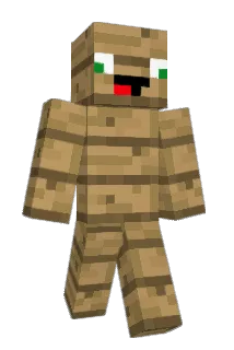 DustinzocktMC Minecraft avatar full body