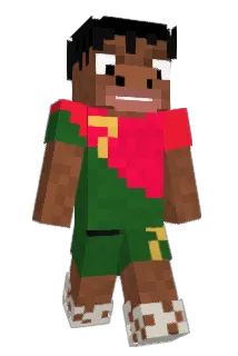 DustoDustini Minecraft avatar full body
