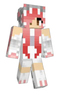 Dusty_Grey Minecraft avatar full body