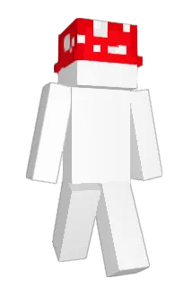 Dustyboyilyas2 Minecraft avatar full body