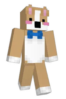 DutchBubs Minecraft avatar full body