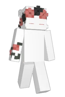 Duyix Minecraft avatar full body