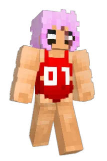 Duzno Minecraft avatar full body