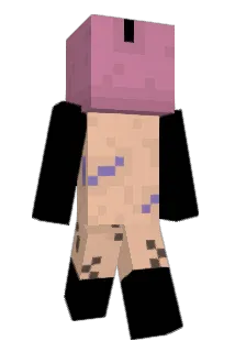 Dviize Minecraft avatar full body