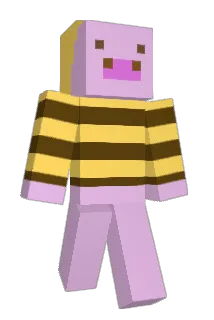 DvorZir Minecraft avatar full body