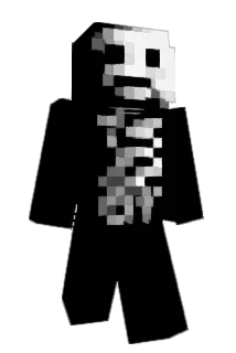 DvzR Minecraft avatar full body