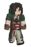 Dweet Minecraft avatar full body