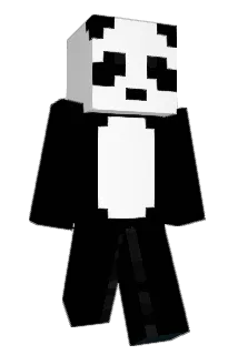 Dwipp Minecraft avatar full body