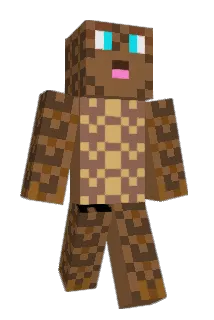 DwoinN Minecraft avatar full body