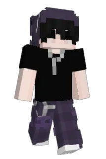 Dxaann Minecraft avatar full body