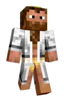 DyHouli Minecraft avatar full body