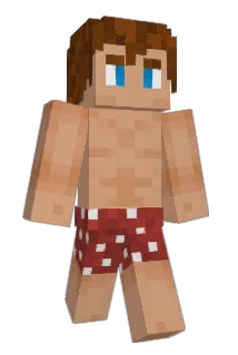 Dybmino Minecraft avatar full body