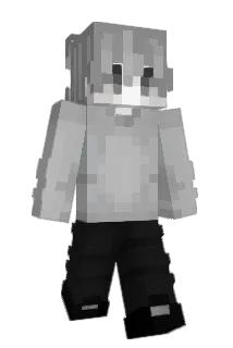 Dyeins Minecraft avatar full body