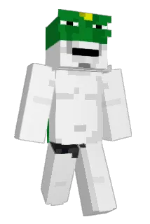 Dylan_ig Minecraft avatar full body