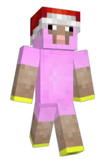 Dymasi Minecraft avatar full body