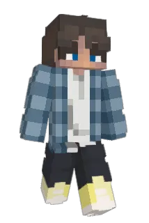DyscoT Minecraft avatar full body
