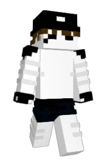 DyyyMac Minecraft avatar full body