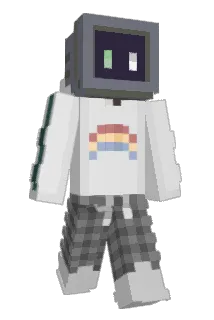 E110460 Minecraft avatar full body
