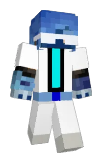 E13754 Minecraft avatar full body