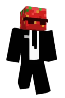 E1eli Minecraft avatar full body