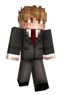 E1i4s Minecraft avatar full body