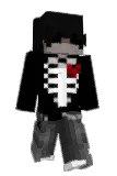 E2Q11 Minecraft avatar full body