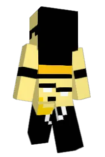 E3_m8 Minecraft avatar full body