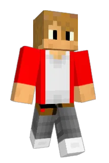E60360 Minecraft avatar full body