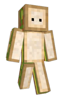 EAMRBOY Minecraft avatar full body