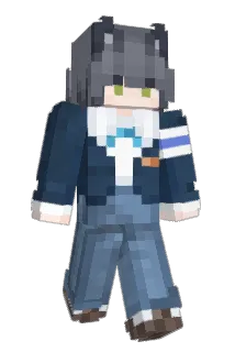EAOL Minecraft avatar full body