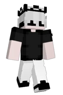 EBTHAN1 Minecraft avatar full body