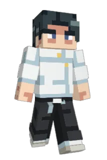 EDJC5911 Minecraft avatar full body