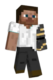 EEVSD Minecraft avatar full body
