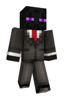 EIMatadore Minecraft avatar full body