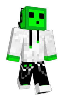EJ70700 Minecraft avatar full body