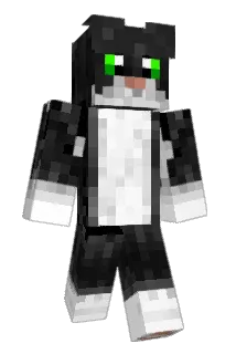 ELBourreau Minecraft avatar full body
