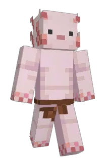 ELCOUILLONER Minecraft avatar full body