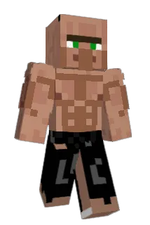 ELDANIINT Minecraft avatar full body