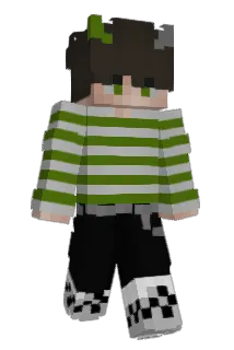 ELECAGA Minecraft avatar full body