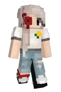 ELL21 Minecraft avatar full body