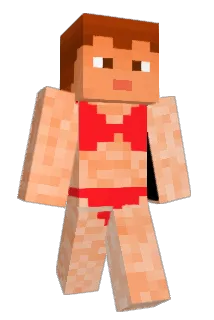 ELLA143 Minecraft avatar full body