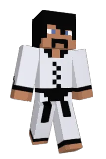 ELLE9 Minecraft avatar full body