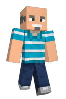 ELV150 Minecraft avatar full body