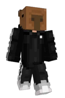 EMAX2509 Minecraft avatar full body