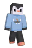 EMC47 Minecraft avatar full body