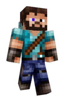 EMER3117 Minecraft avatar full body