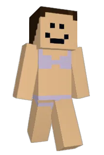 EM_5 Minecraft avatar full body
