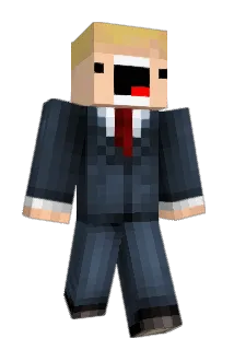 EM_LlamaPower_XD Minecraft avatar full body