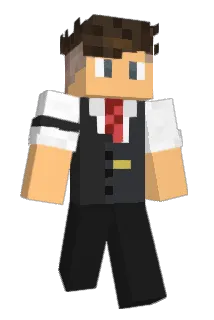 ENDRY199 Minecraft avatar full body
