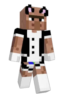 ENEX2016 Minecraft avatar full body